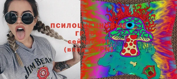 спайс Михайлов