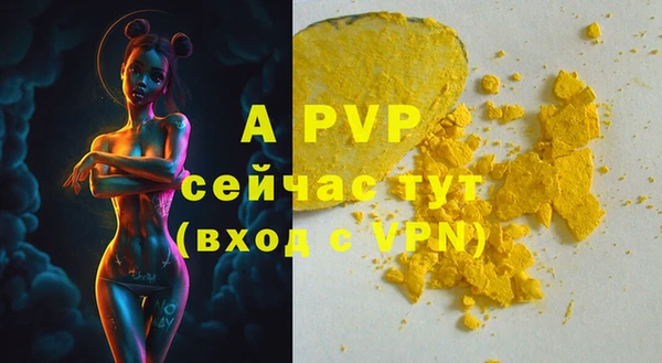 спайс Михайлов