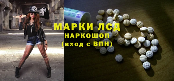 гашик Бежецк