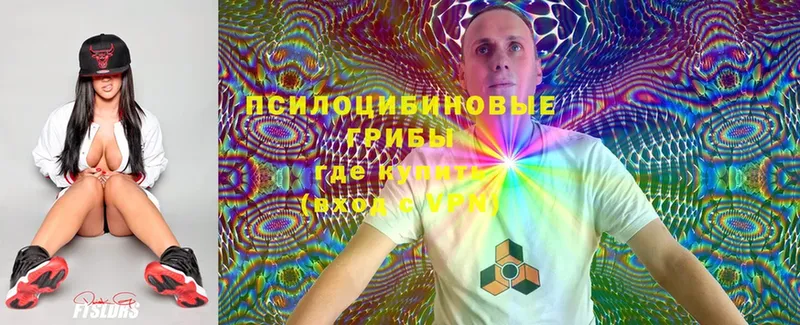 блэк спрут ССЫЛКА  Торжок  Галлюциногенные грибы GOLDEN TEACHER 