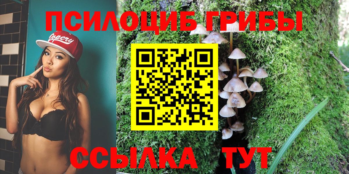 Псилоцибиновые грибы Psilocybine cubensis  Галлюциногенные грибы Psilocybine cubensis  Торжок  Вход с VPN 