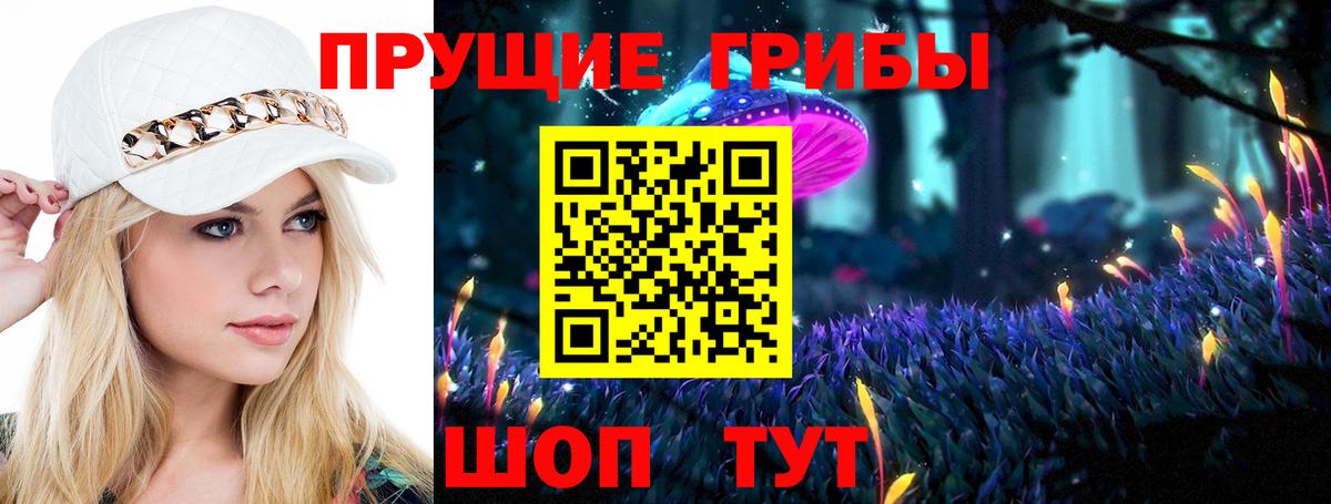 Псилоцибиновые грибы прущие грибы Торжок