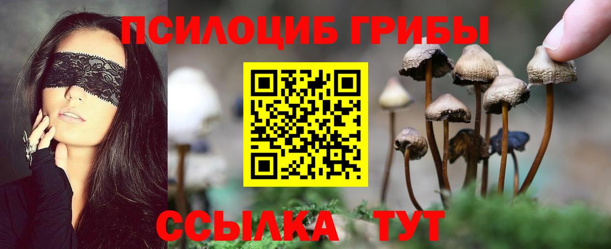 Галлюциногенные грибы ЛСД  продажа наркотиков  Торжок  Псилоцибиновые грибы мицелий 